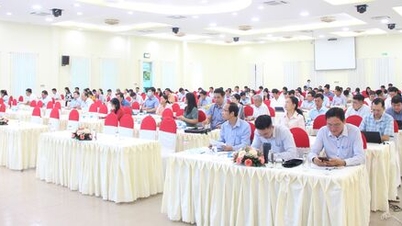 Departament Przemysłu i Handlu zapewnia szkolenia zawodowe dla władz lokalnych na dwóch poziomach