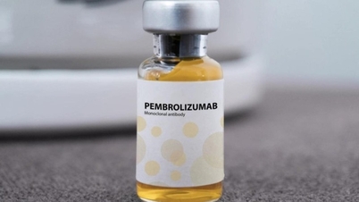 តើ​ថ្នាំ​មហារីក​រុស្ស៊ី Pembroria ដែល​ទើប​តែ​មាន​អាជ្ញាប័ណ្ណ​នៅ​ប្រទេស​វៀតណាម តម្លៃ​ប៉ុន្មាន?