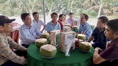 សហករណ៍ Ba Dinh គឺជាស្នូលនៃការអភិវឌ្ឍន៍សេដ្ឋកិច្ចសមូហភាពក្នុងតំបន់ស្រូវ-បង្គា។