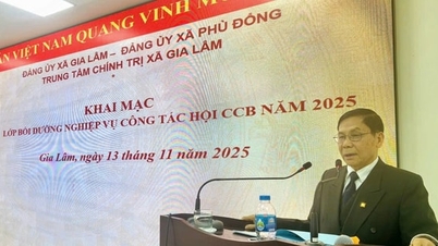 تلقى 240 من الكوادر والأعضاء المخضرمين في بلديتي جيا لام وفو دونج تدريبًا مهنيًا.