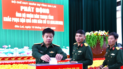 Angkatan bersenjata provinsi Gia Lai menyumbangkan hampir 700 juta VND untuk mendukung masyarakat mengatasi dampak badai dan banjir.