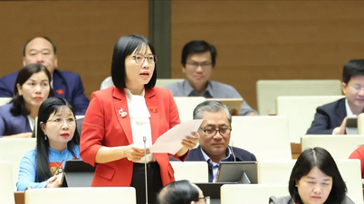 Javaslat a tisztviselők jogainak ellenőrzésére tőkebevonás és vállalkozás működtetése során