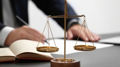 ក្រឹត្យលេខ 289/2025/ND-CP៖ ការសម្រេចបាននូវរបកគំហើញក្នុងការបង្កើត និងការអនុវត្តច្បាប់