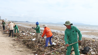 វួដវាំងតាវ (HCMC) បានប្រមូលកាកសំណល់មហាសមុទ្រចំនួន ៤០០ តោន។