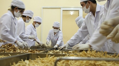 ការបំពេញបទប្បញ្ញត្តិស្តីពីការចុះបញ្ជីចរាចរនៃឱសថបុរាណ