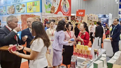 ভিয়েতনাম আন্তর্জাতিক খাদ্য শিল্প প্রদর্শনী ২০২৫-এ প্রায় ৪০০ ব্যবসা প্রতিষ্ঠান অংশগ্রহণ করে