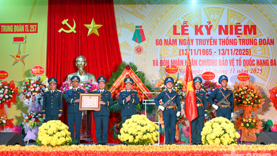 レ・フイ・ヴィン上級中将は、第257連隊（第361師団）の伝統的な日の60周年記念式典に出席した。