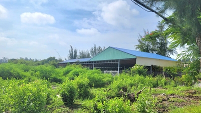 Orașul Ho Și Min: Comitetele populare la nivel de comună implementează niveluri de sprijin legate de recuperarea terenurilor autorizate anterior la nivel de district