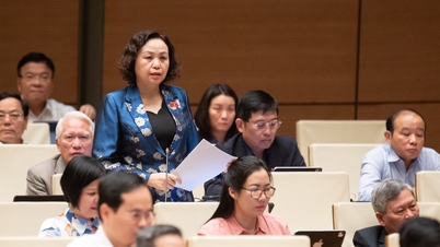 Уделять внимание формированию, развитию и повышению квалификации государственных служащих в районах проживания этнических меньшинств.