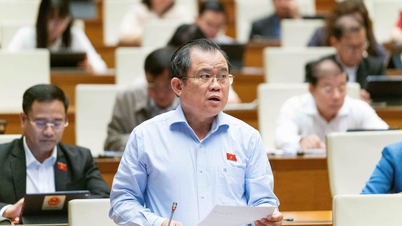 'ជើងមួយក្នុង មួយជើងខាងក្រៅ' មន្ត្រីរាជការ៖ គួរតែជាអ្នកដឹកនាំ និងជានាយក?