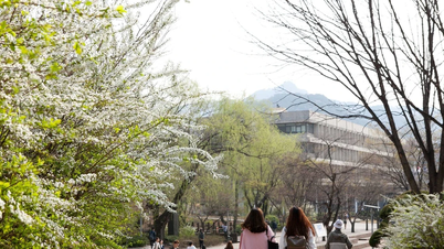 កូរ៉េខាងត្បូង​មិន​ជ្រើសរើស​និស្សិត​ដែលមាន​សញ្ញា​ខ្មៅ​នៃ​ការ​សម្លុត​ឡើយ​