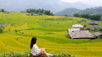 8 experiences of traveling to the Northeast in autumn: A journey to touch the majestic and romantic beauty