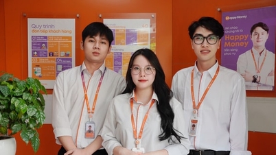 ハッピーマネー：ベトナムの金融地図上でのブランドの位置づけ