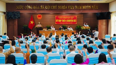 Kỳ họp thứ 4 (chuyên đề), HĐND tỉnh khóa X: Thông qua nhiều nghị quyết quan trọng, kiện toàn nhân sự UBND tỉnh