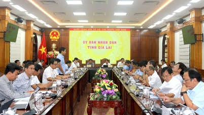 Gia Lai menduduki tempat ke-7 di negara ini dari segi indeks perkhidmatan kepada orang ramai dan perniagaan.