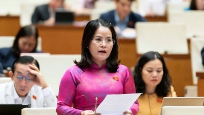 Đề nghị trợ cấp tối thiểu 12 tháng lương cho viên chức mất việc do sắp xếp