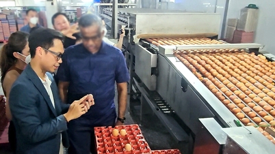 ក្រុមហ៊ុន Ba Huan ជំពាក់ពន្ធជាង 51 ពាន់លានដុង: ការភ្ញាក់ផ្អើលពីអ្នកខាងក្នុង