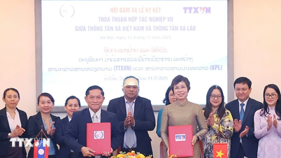 Basın iş birliğinin güçlendirilmesi, Vietnam ve Laos arasındaki özel dostluğun pekiştirilmesi