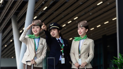 El señor Bui Quang Dung ocupa el puesto de presidente de Bamboo Airways.