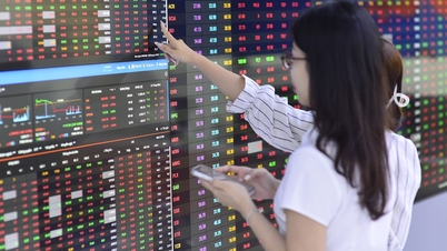 Muchas acciones valoradas en "mil millones de dólares" perdieron más del 20% de su capitalización, incluidas las nuevas acciones cotizadas en la Bolsa de Ho Chi Minh (HoSE).