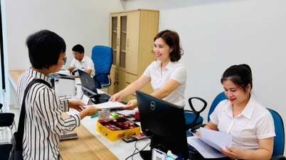 تضمین انصاف و ثبات در فعالیت‌های دفتر اسناد رسمی