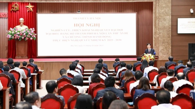 កម្មាភិបាល និងសមាជិកបក្សរាប់ម៉ឺននាក់នៅទីក្រុងហាណូយ សិក្សា និងយល់ច្បាស់នូវសេចក្តីសម្រេចចិត្តនៃមហាសន្និបាតបក្សទីក្រុង។