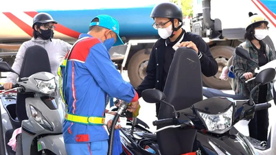 11월 13일 오후 휘발유 가격이 소폭 상승했습니다.