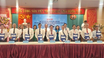 មន្ទីរពេទ្យចុងក្រោយចំនួន 8 គាំទ្រដើម្បីប្រែក្លាយមន្ទីរពេទ្យទូទៅ Vung Tau ទៅជាបង្គោលពេទ្យថ្មី។