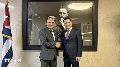 វៀតណាមបង្កើតជំហរថ្មីជាមួយនឹងគោលនយោបាយការបរទេសដ៏ទូលំទូលាយ