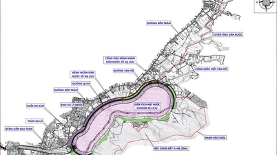 ការវិនិយោគនៅបឹង Duong Dong 2 មានតម្លៃសរុប 2,950 ពាន់លានដុង