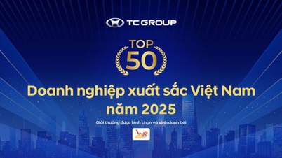 Skupina TC mezi 50 nejlepšími vietnamskými podniky v roce 2025