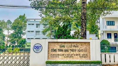 Dong Nai ផ្សព្វផ្សាយបញ្ជីសហគ្រាសជំពាក់ពន្ធ