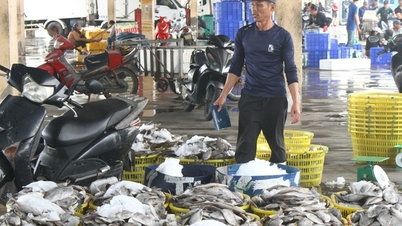 중부 지역 최대 어항에서 현대식 어업 인프라 완성, 불법어업 단속 강화