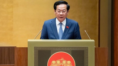 Yetkililerin kapasitelerini geliştirmeleri için azami koşullar yaratın, aynı zamanda politika istismarını önleyin.