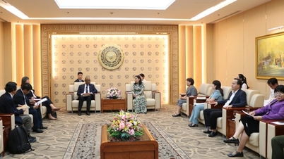 WWF ប្តេជ្ញាបន្តកិច្ចសហប្រតិបត្តិការជាមួយទីក្រុង Da Nang លើការការពារ និងការស្តារព្រៃឈើឡើងវិញ។