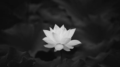 រំលែកទុក្ខ