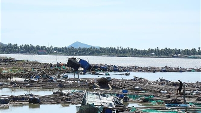 Dak Lak memerlukan pengurusan yang ketat dalam aktiviti akuakultur