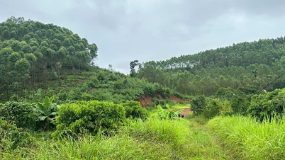 Bac Ninh៖ ចេញ​អាជ្ញាប័ណ្ណ​ធ្វើ​អាជីវកម្ម​រ៉ែ​ថ្មី​ចំនួន ៤ ធានា​ការ​ផ្គត់ផ្គង់​សម្ភារ​សំណង់