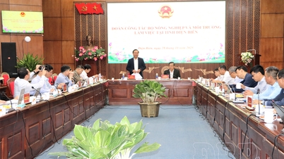 মানুষের দীর্ঘমেয়াদী জীবিকা নিশ্চিত করার জন্য পরিকল্পনামূলক কাজের উপর মনোযোগ দিন