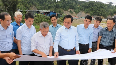 কৃষি ও পরিবেশ মন্ত্রণালয়ের কর্মী দল মুওং পোন কমিউনে প্রকল্প ক্ষেত্র পরিদর্শন করেছে।
