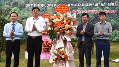 Festival do Café associado ao ecoturismo na comuna de Bung Lao