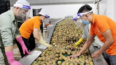 Kementerian Perindustrian dan Perdagangan mengesyorkan agar perniagaan mengemas kini peraturan baharu China mengenai eksport makanan.