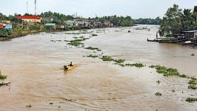 تطبيق العلم والتكنولوجيا للتكيف مع تغير المناخ والتنمية المستدامة في دلتا ميكونج