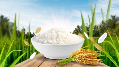 ST25: De la cel mai bun orez din lume la aspirația de a ridica nivelul agriculturii vietnameze