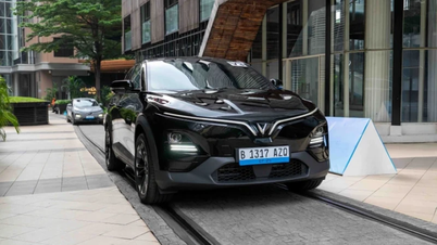 انڈونیشی ماہر: ونگ گروپ علاقائی تبدیلی کی علامت ہے۔