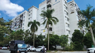 ការបង្កើតមូលដ្ឋានច្បាប់សម្រាប់ការអភិវឌ្ឍន៍លំនៅដ្ឋានសង្គម