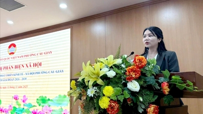 រួមចំណែកផ្តល់យោបល់ដល់សេចក្តីព្រាងផែនការអភិវឌ្ឍន៍សេដ្ឋកិច្ចសង្គមរយៈពេល 5 ឆ្នាំរបស់វួដ Cau Giay