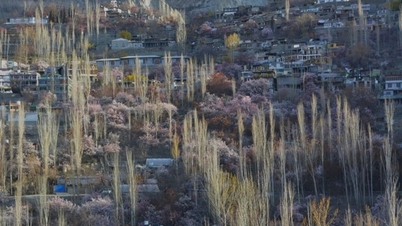 Paseando por una primavera de cuento de hadas en Pakistán