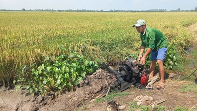 Focus op het verzorgen van planten na regen en overstromingen