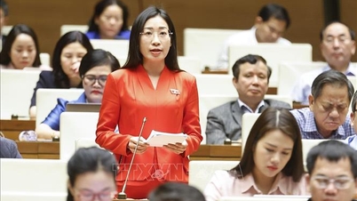 Cần có cơ chế kiểm soát trước khi livestream bán hàng